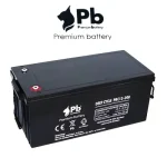 Bateria Solar Premium de 100hA